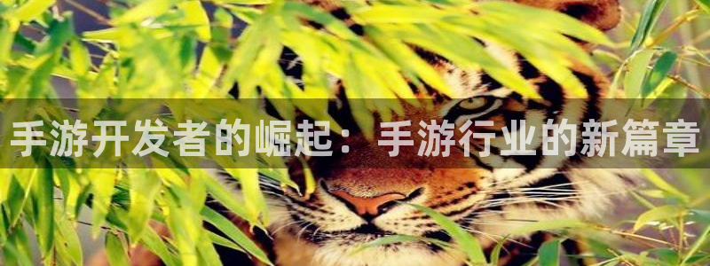 雷火电竞PC官网：手游开发者的崛起：手游行业的新篇章