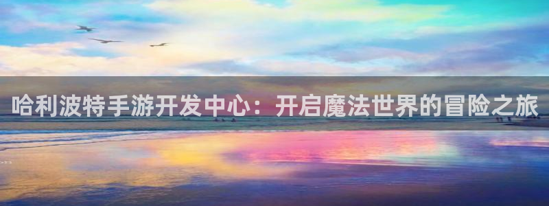 28大神怎么找不到了：哈利波特手游开发中心：开启魔法世界的冒