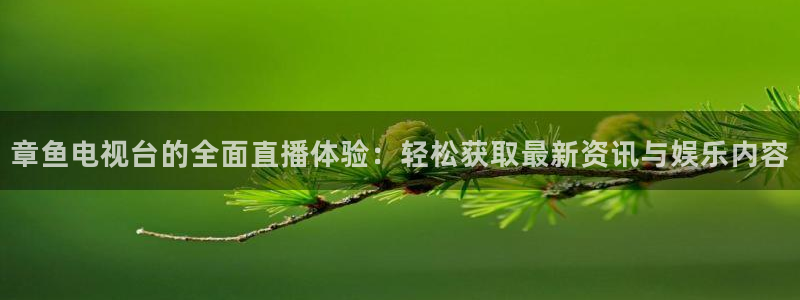 搜球体育：章鱼电视台的全面直播体验：轻松获取最新资讯与娱乐内容