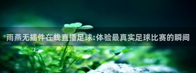 搜球吧直播nba中文直播：雨燕无插件在线直播足球:体验最真实足球比赛的瞬间