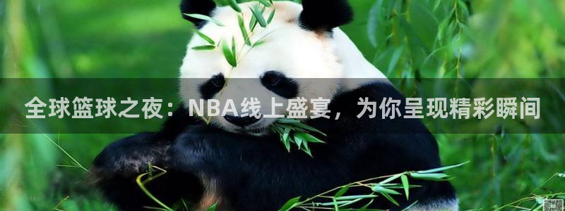 搜球体育：全球篮球之夜：NBA线上盛宴，为你呈现精彩瞬间